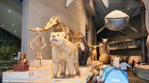 上海自然博物馆开启“奇妙夜” 解锁“城市微度假”新模式